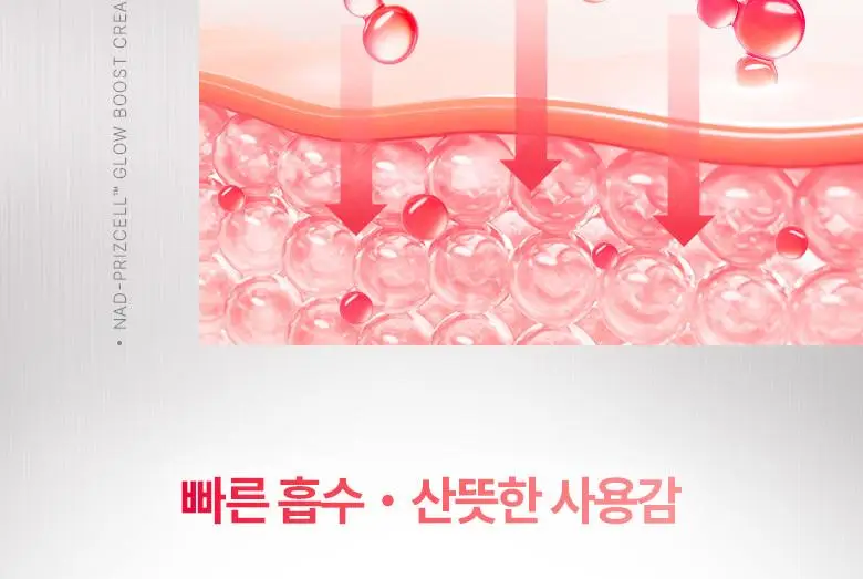 [속광|광채크림] 바이오힐보 NAD 프리즈셀 글로우 부스트 크림 50ml 상세페이지 25